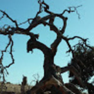 Meet your Posher, Joann